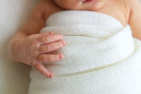 Close up detailed photo of a newborn babies fingers